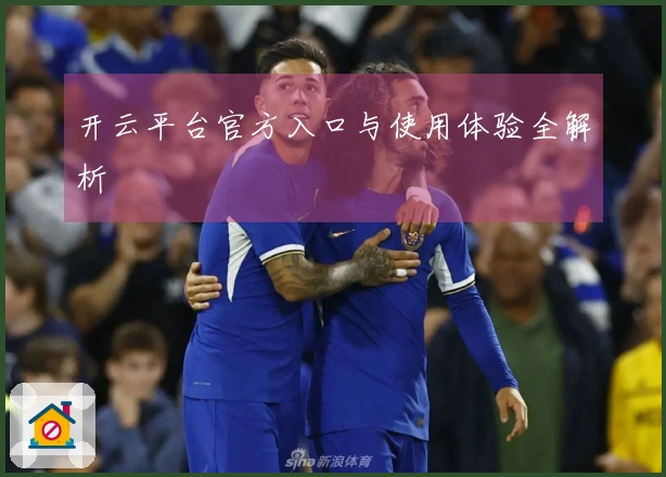 开云平台官方入口与使用体验全解析