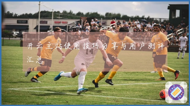 开云主站使用技巧分享与用户测评汇总